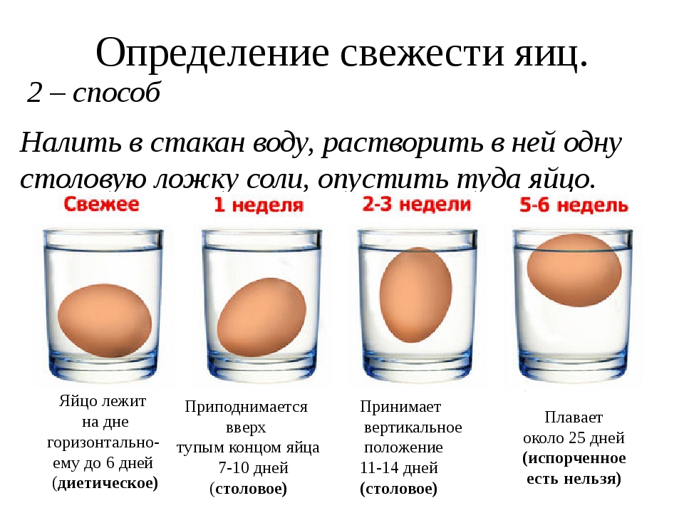 Проверить свежесть яйца